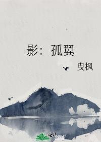影:孤翼