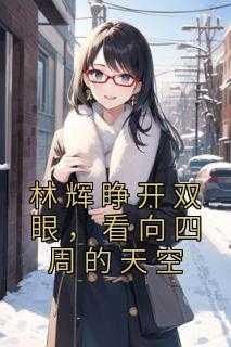 林辉睁开双眼,看向四周的天空