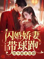 墨淮琛白锦洛