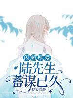 沈乔陆泽安