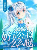 苏小宝南宫时渊