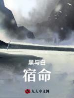 黑与白:宿命