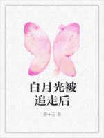 安阳乔爽