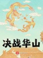 燕不归岳不群