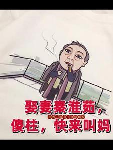 四合院,满院都是我下的崽