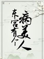 沈清欢傅云舟