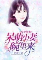 苏暖暖厉爵庭
