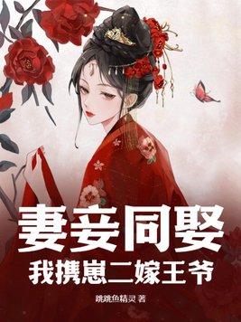 妻妾同娶?我携崽二嫁王爷