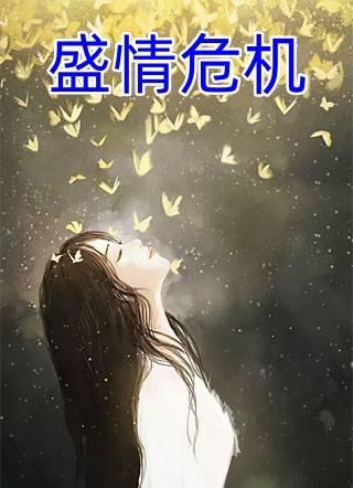 盛情危机