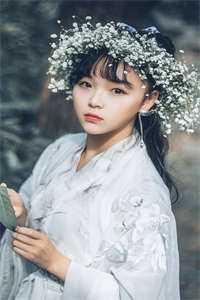 或有情吃一首诗小说