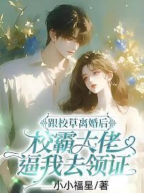 跟校草离婚后,校霸大佬逼我去领证