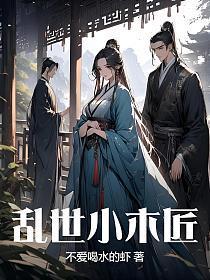 乱世小木匠