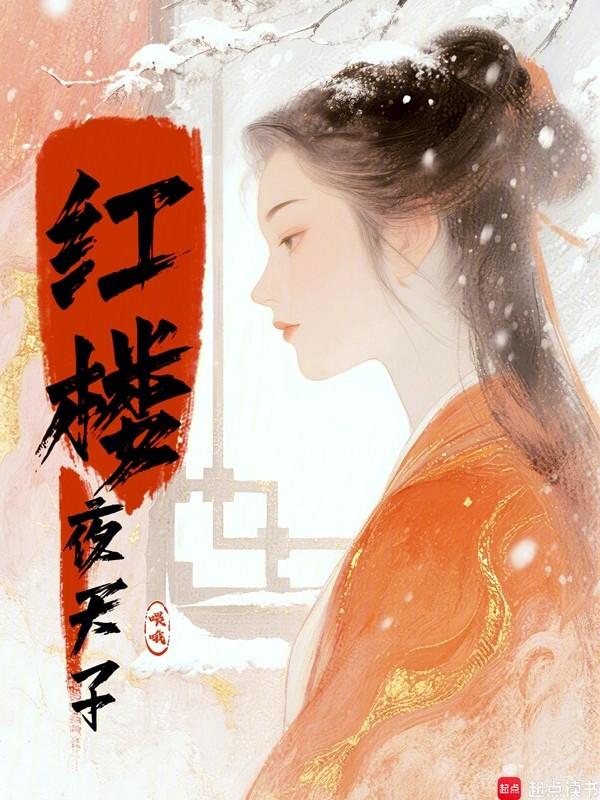 红楼:夜天子