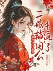 被弃侯门主母?二嫁辅国公杀疯了