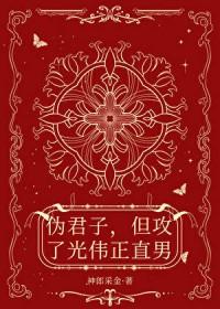 伪君子,但攻了光伟正直男