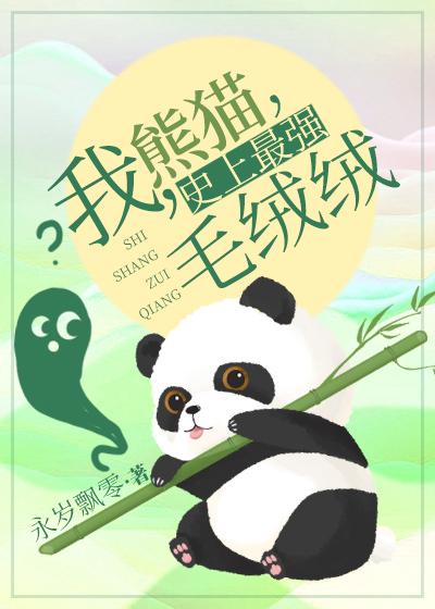 我,熊猫,史上最强毛绒绒