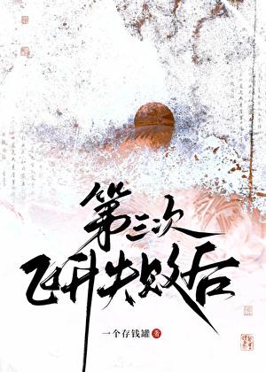 第三次飞升失败后