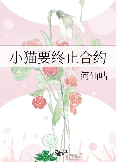 小猫要终止合约
