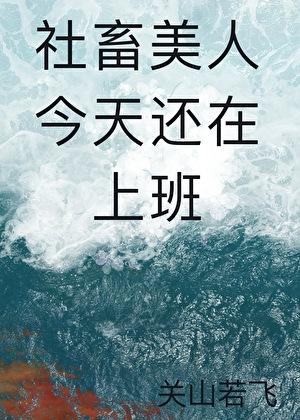 社畜美人今天还在上班