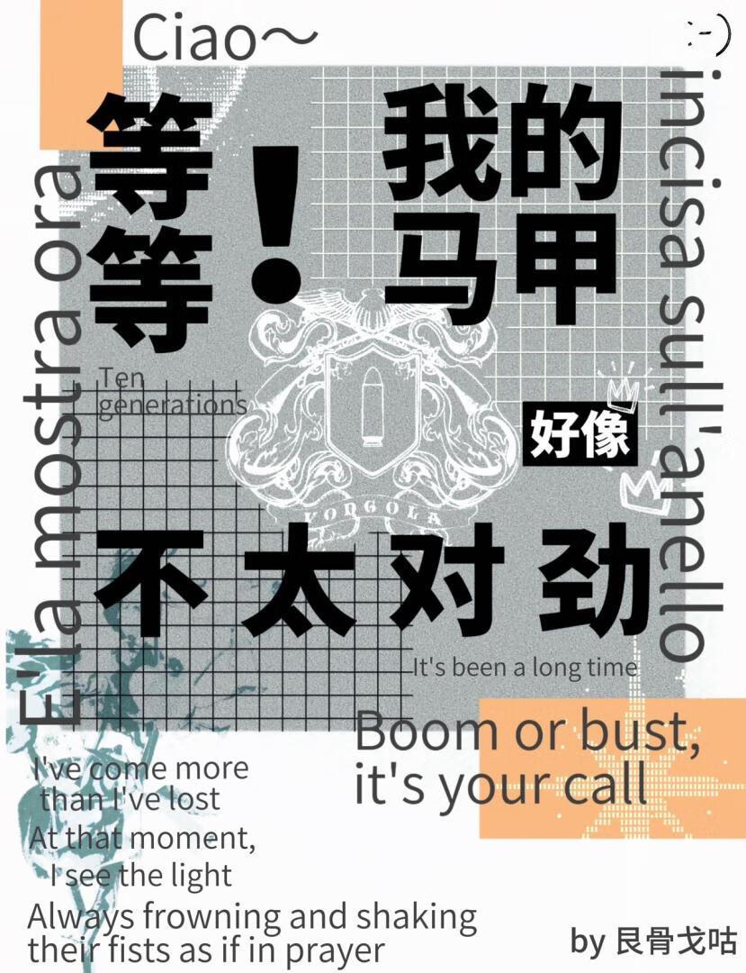 十代目的马甲好像有点不太对劲