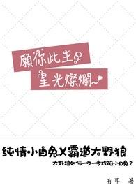 愿你此生星光灿烂。