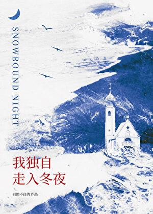 我独自走入冬夜