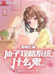 爱情公寓:仙子攻略系统什么鬼