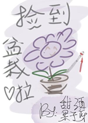 [家教+剑三]捡到盆栽啦！