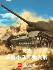 亮剑：从晋西北到长津湖百战百胜