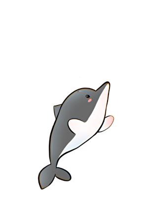 白鱀豚与黑金博美