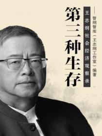 第三种生存:王志纲社会经济观察录