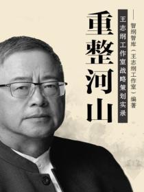 重整河山:王志纲工作室战略策划实录