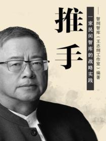 推手:一家民间智库的战略实践