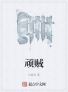 顽贼