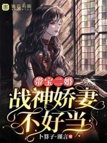 带宝二婚,战神娇妻不好当