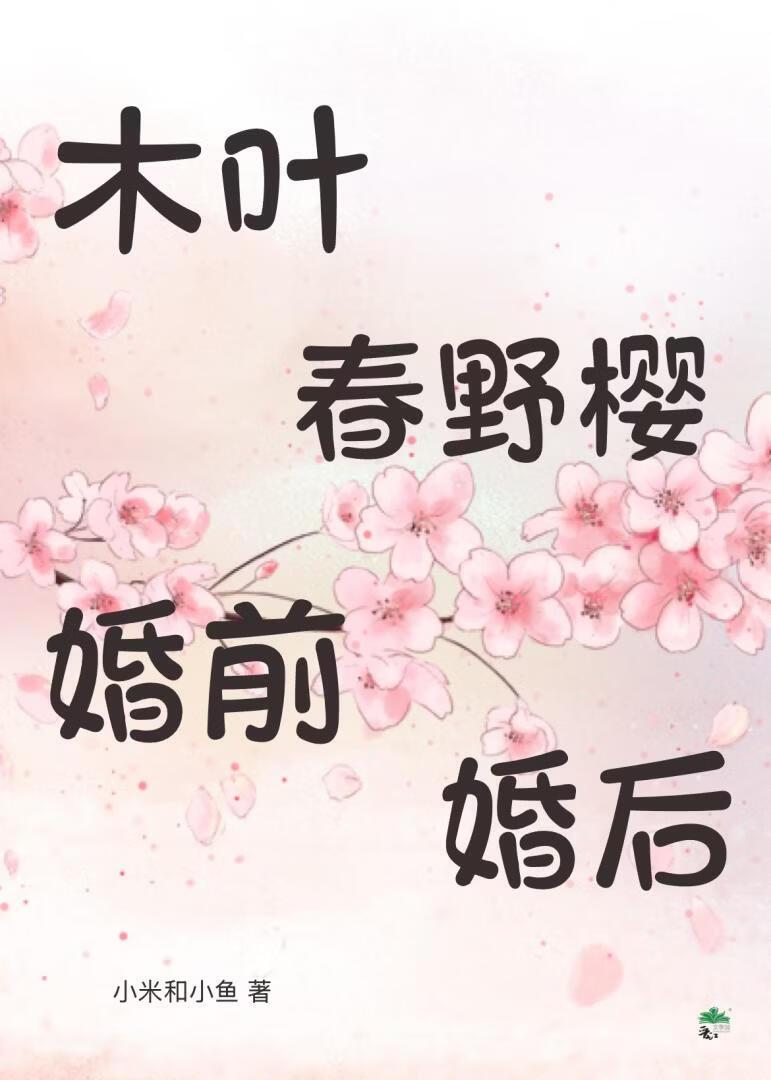 木叶十二小强婚前婚后