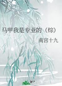 马甲我是专业的(综)