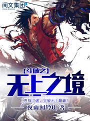 斗破之无上之境(斗破苍穹之无上之境)
