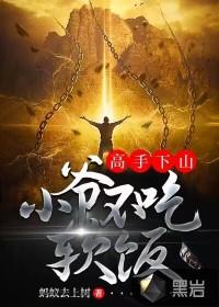 高手下山:小爷不吃软饭