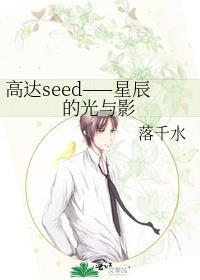 高达seed——星辰的光与影