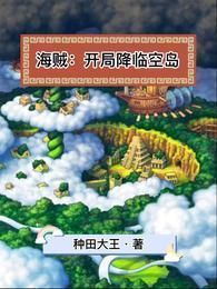 海贼:开局降临空岛