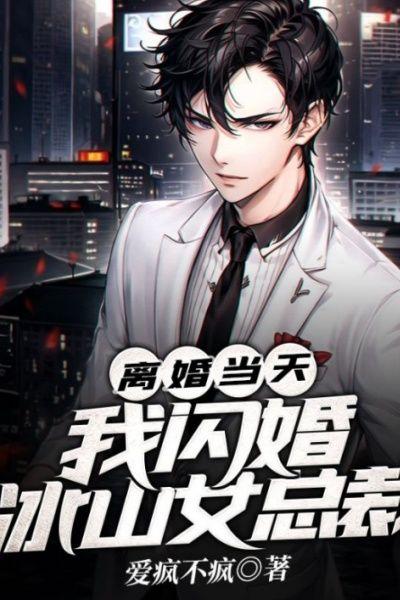 离婚当天，我闪婚冰山女总裁