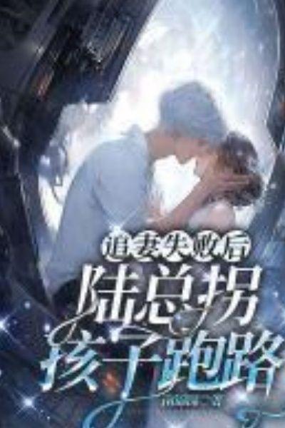 追妻失败后,陆总拐孩子跑路