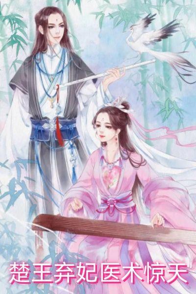 楚王弃妃医术惊天