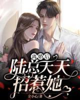 宋知夏陆瑾年